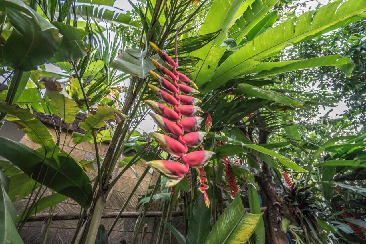 Tegar Guest House Ubud Екстериор снимка