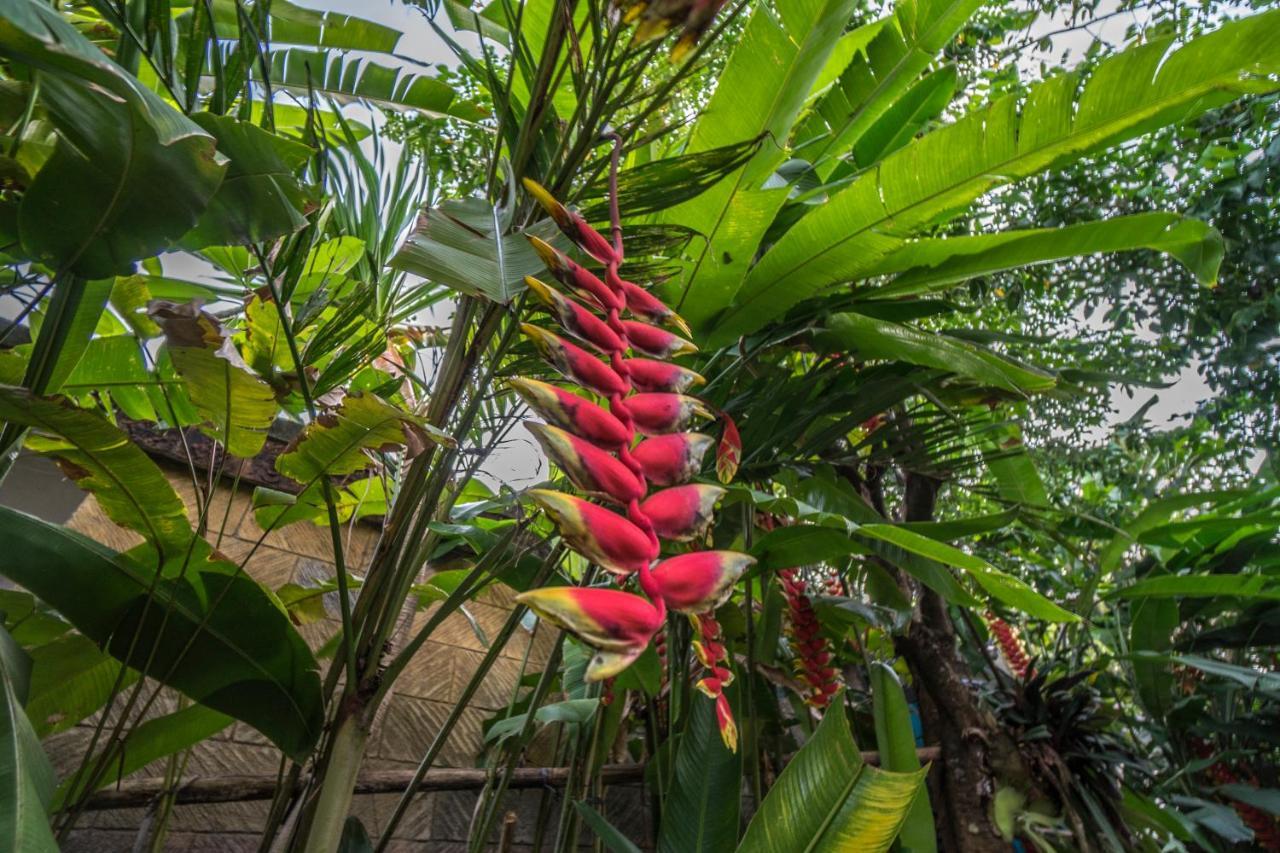 Tegar Guest House Ubud Екстериор снимка